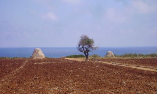 Zdjecie WOCHY / Apulia / w drodze do Trani / nadmorski pejza Apulii
