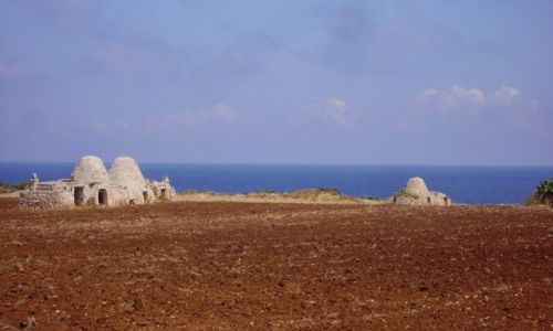 Zdjecie WOCHY / Apulia / w drodze do Trani / najstarsze , ju niezamieszkae trulli
