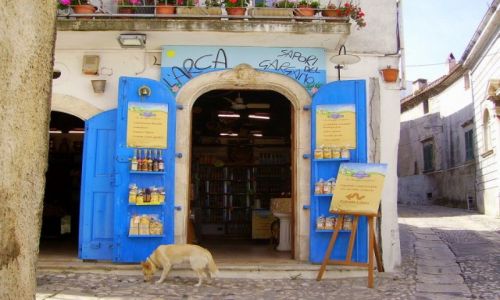 Zdjcie WOCHY / Apulia / Peschici- stare miasto / sklepik z regionalnymi wyrobami - stare miasto