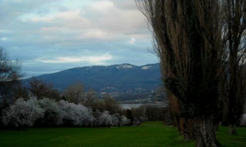 Zdjecie WOCHY / Lombardia / Varese / Puszysto przyrody...
