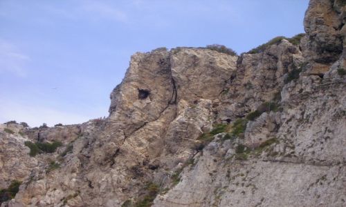 Zdjecie WOCHY / Wyspy Tremiti / wyspa San Domino / gowa konia wyrzebiona przez natur