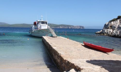 Zdjcie WOCHY / Sardynia / okolice Capo Caccia / Zatoczka