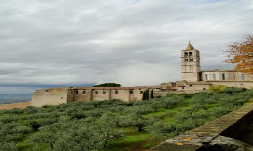Zdjecie WOCHY / Perugia / Asy / Asy jesieni