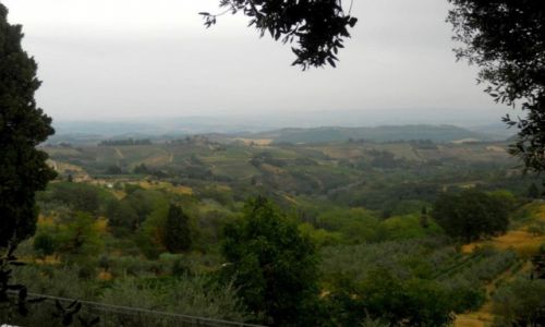 Zdjecie WOCHY / Toskania / San gimignano / Toskania