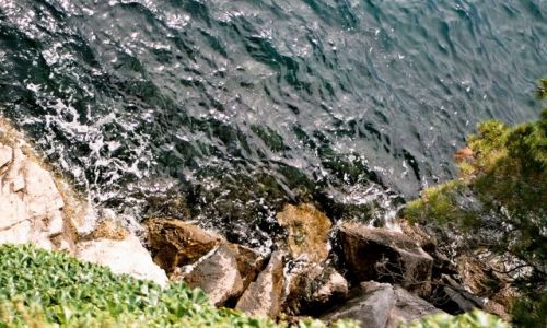 Zdjcie WOCHY / brak / Triest / Triest