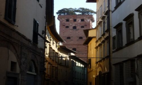 Zdjcie WOCHY / Lucca / widok z ulicy / Torre Guinigi