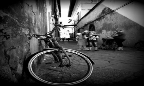 Zdjcie WOCHY / Toskania / LUCCA / LUCCA - miasto rowerw
