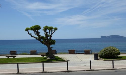 Zdjecie WOCHY / Sardynia / Alghero / Capo Caccia w tle