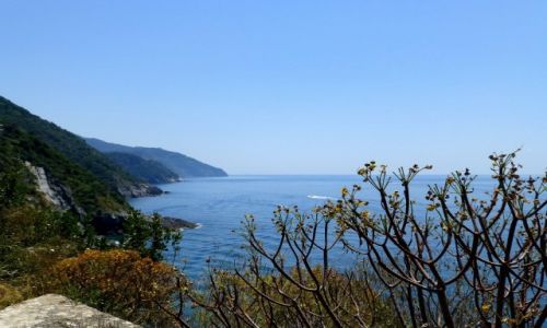 Zdjęcie WłOCHY / Liguria / Monteroso a Mare / widok na Cinque Terre
