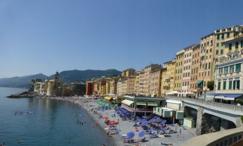 Zdjęcie WłOCHY / Liguria / Camogli / panorama Camogli