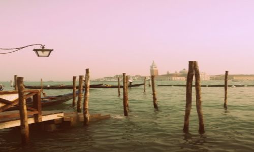 Zdjecie WOCHY / Veneto / Wenecja- Piazza San Marco / Wenecja