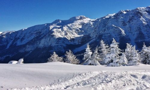 Zdjcie WOCHY / Dolomity / Madonna Di Campiglio / Troch zimy