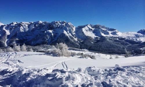 Zdjcie WOCHY / Dolomity / Madonna Di Campiglio / Troch zimy