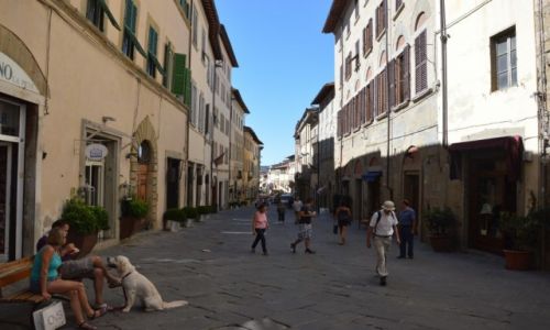 Zdjcie WOCHY / Toskania / Arezzo / w cieniu