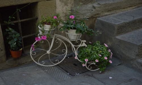 Zdjęcie WłOCHY / Toskania / Cortona / rower