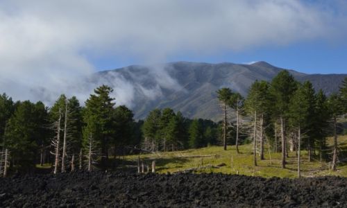 Zdjcie WOCHY / Sycylia / Etna / Etna strona pnocna