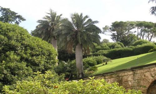 Zdjcie WOCHY / brak / Bellagio / Ogrody Villa Melzi