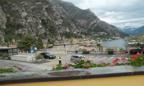 Zdjecie WOCHY / - / Limone / Majwka