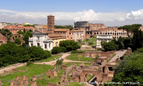Zdjęcie WłOCHY / Rzym / Forum Romanum / Rzymskie ruiny 1