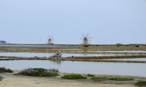 Zdjcie WOCHY / Sycylia / okolice Trapani / saliny
