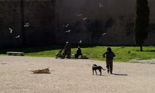 Zdjecie W�OCHY / Rzym / Rzym / Spacer