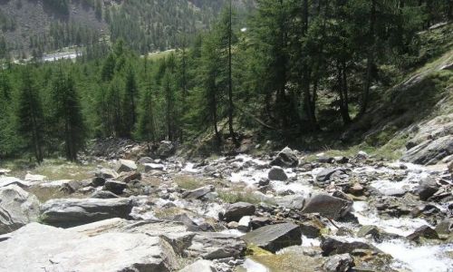 Zdjęcie WłOCHY / brak / Park Narodowy Gran Paradiso / Widoczek 2