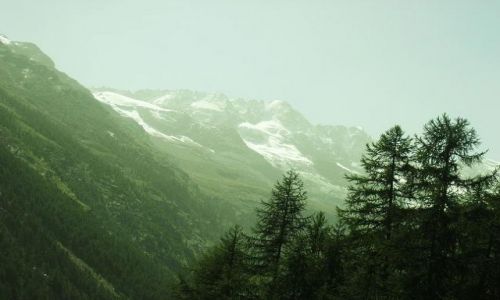 Zdjęcie WłOCHY / brak / Park Narodowy Gran Paradiso / Widoczek 6