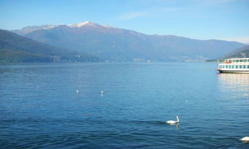Zdjęcie WłOCHY / tesino / luino / jezioro lago maggiore
