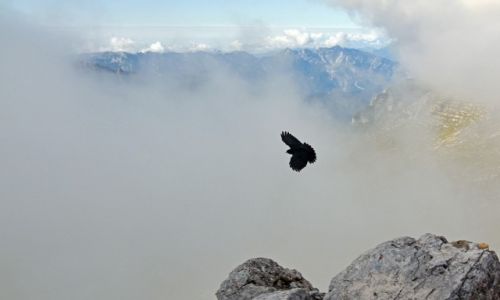 Zdj�cie W�OCHY / Alpy Julijskie / Cima di Terrarosa / Na w�osko-s�owe�skim pograniczu