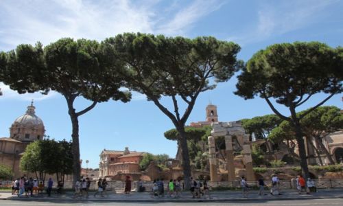 Zdjecie WOCHY / Rzym / Monti / Forum Romanum