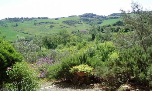 Zdjęcie WłOCHY / Toscana / Pomarance / Widoczek