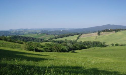 Zdjęcie WłOCHY / Toscana / Pomarance / Widoczek Toscanii