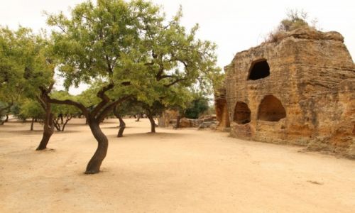 Zdjcie WOCHY / SYCYLIA / AGRIGENTO / DOLINA WITY 