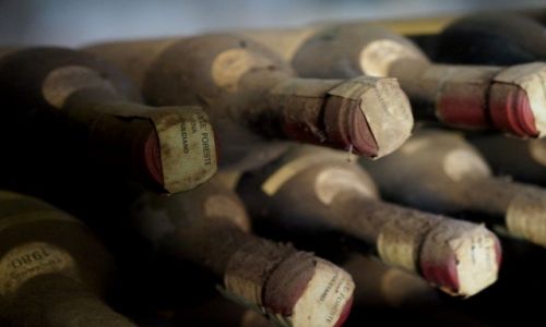 Zdjecie WOCHY / Tokania / MONTEPULCIANO / im starsze tym lepsze....