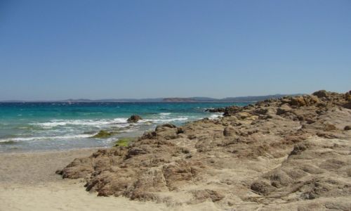 Zdjecie WOCHY / Sardynia / Costa Paradiso / samotna Pinia