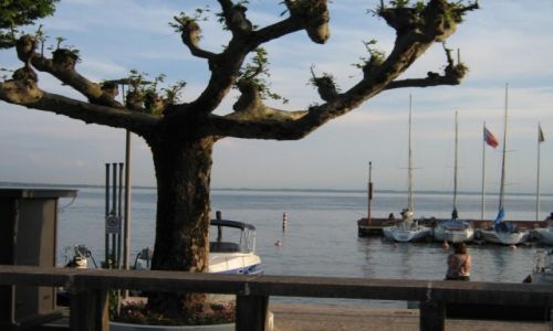 Zdjecie WłOCHY / - / droga przy jeziorze / Garda