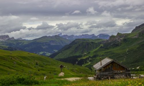 Zdjcie WOCHY / Dolomity / Passo Pordoi / Dolomity