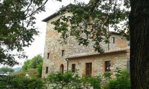 Zdjcie WOCHY / Toskania / Pistoia / Casalbosco