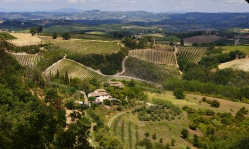 Zdjcie WOCHY / Toskania / San Gimignano / Toskaskie widoki
