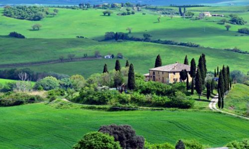 Zdjecie WOCHY / Toskania / Dolina Val d'Orcia / Idylla