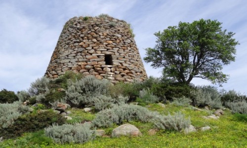 Zdjcie WOCHY / Sardynia / Gmina Silanus / Nuraghe MADRONE - moje ulubione