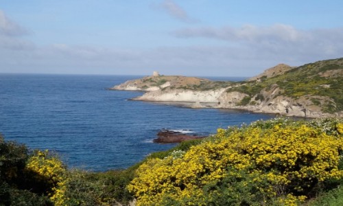 Zdjecie WOCHY / Sardynia / Zachodnia cz Sardynii / Wybrzeem z Bosy do Alghero
