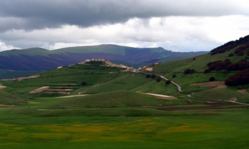 Zdjcie WOCHY / Umbria / Castelluccio/Norcia / Widok na Castelluccio