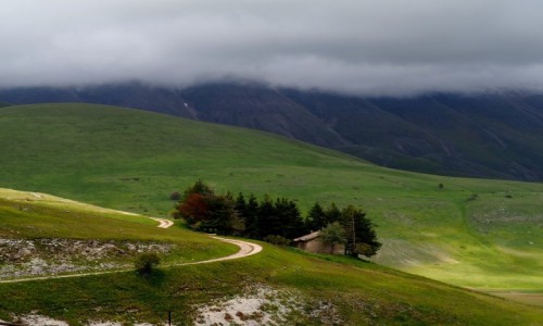 Zdjecie WOCHY / Umbria / Castelluccio/Norcia / Widoczek