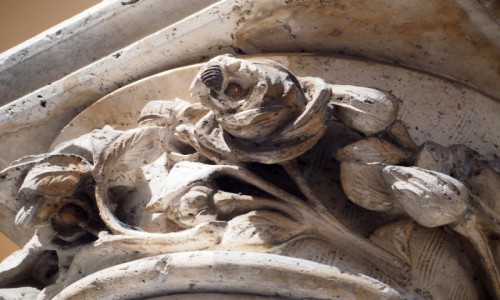 Zdjcie WOCHY / Umbria / Cascia / Ra