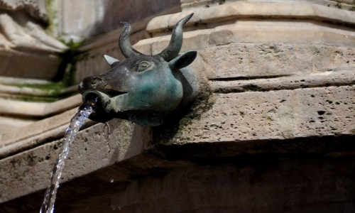 Zdjęcie WłOCHY / Umbria / Piazza IV Novembre, Perugia / Fontanna Maggiore
