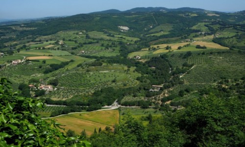 Zdjecie WOCHY / Umbria / okolice Asyu / Umbria