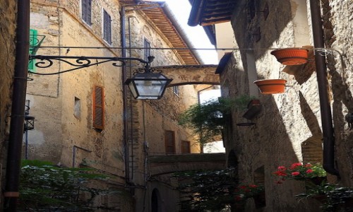 Zdjcie WOCHY / Umbria / Bevagna / Cichy zauek