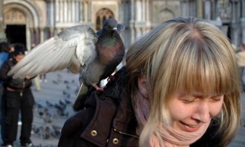 Zdjecie WłOCHY / Emilia Romana / Wenecja / :-)
