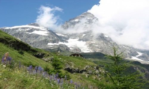 Zdjecie WOCHY / Alpy / Widok od strony woskiej / Matterhorn